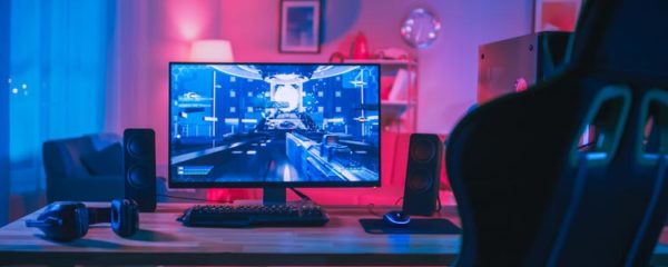 PC gamer